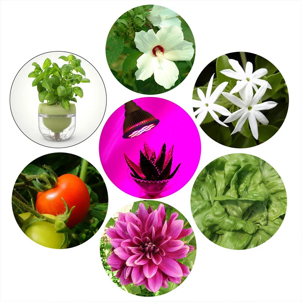 led grow light bulb  (14)