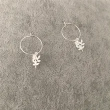 MODE SCHMUCK GOLD SILBER FARBE ROSE CHARME HOOP OHRRINGE(China)