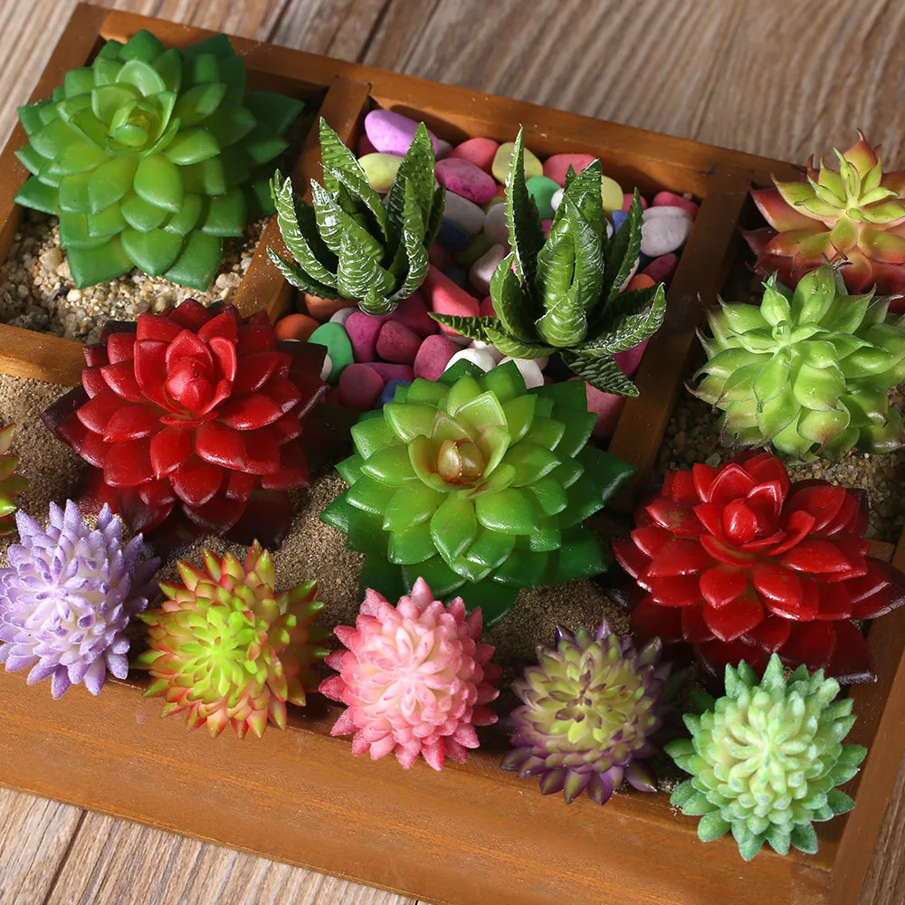 Five kinds of color Plant Garden Succulent Grass Desert Artificial