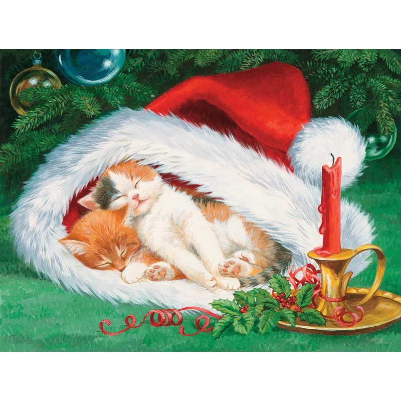 51530hatnapcat