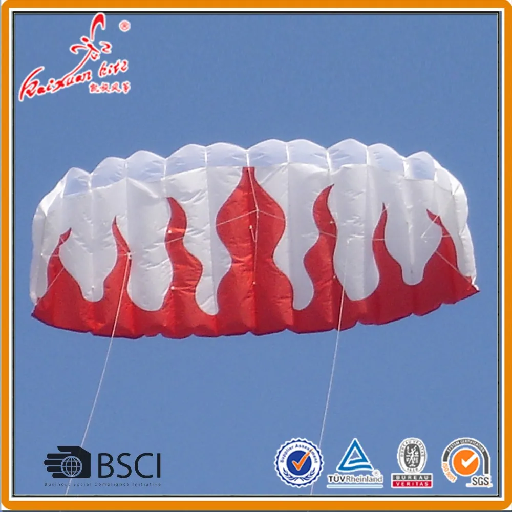 Flame power Kite