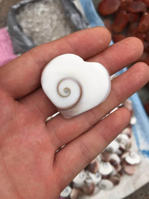 Cheap 10 heart pendants, natural Malagasy minerals, ancient conch fossils heart crystal heart pendants for men and women,  