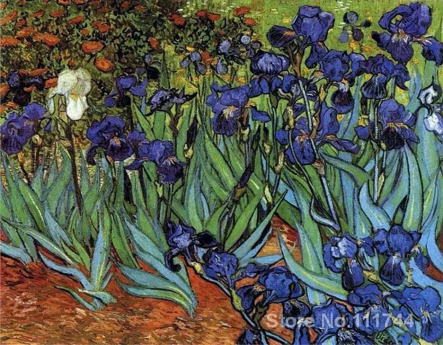 

Paintings by Vincent Van Gogh Irise Hand painted art on canvas High quality