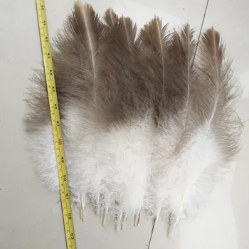 

Wholesale 10pcs / lot beautiful rare eagle feathers long 12-14 inch / 30-35 cm DIY decoration