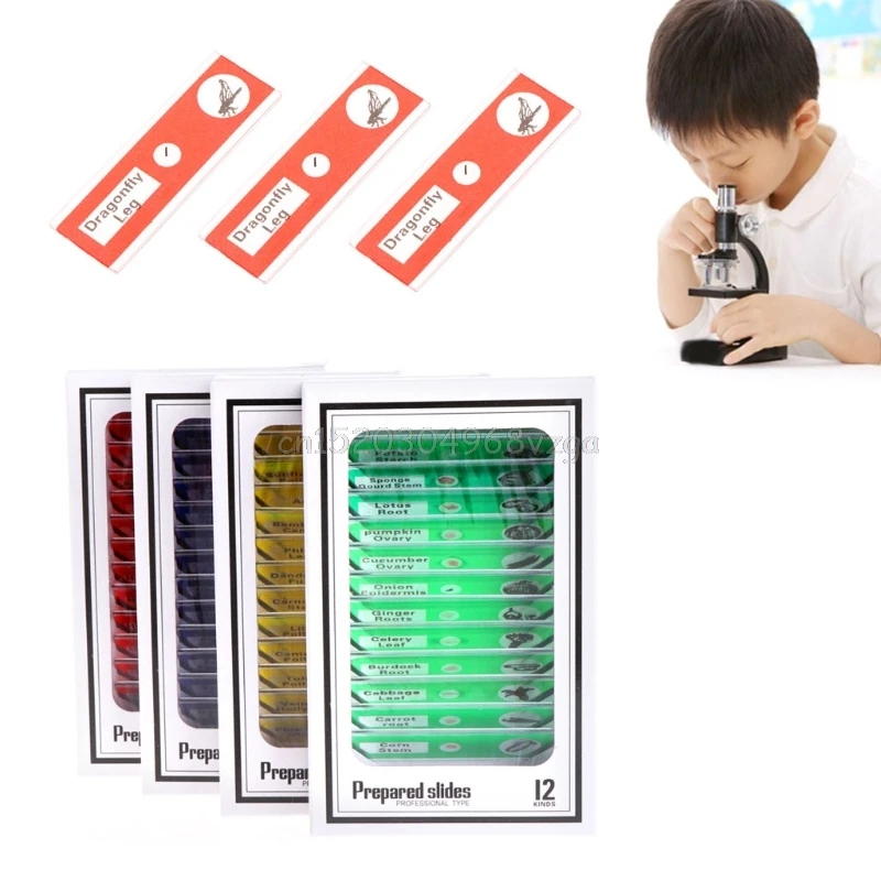 12 Pcs Prepared Microscope Slides Set Specimen For Student Basic Biology Education H028 Drop