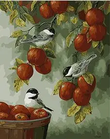 

MaHuaf-X921 birds in apples DIY oil painting by numbers on canvas hand painted digital wall picture 40x50 Framed for home decor