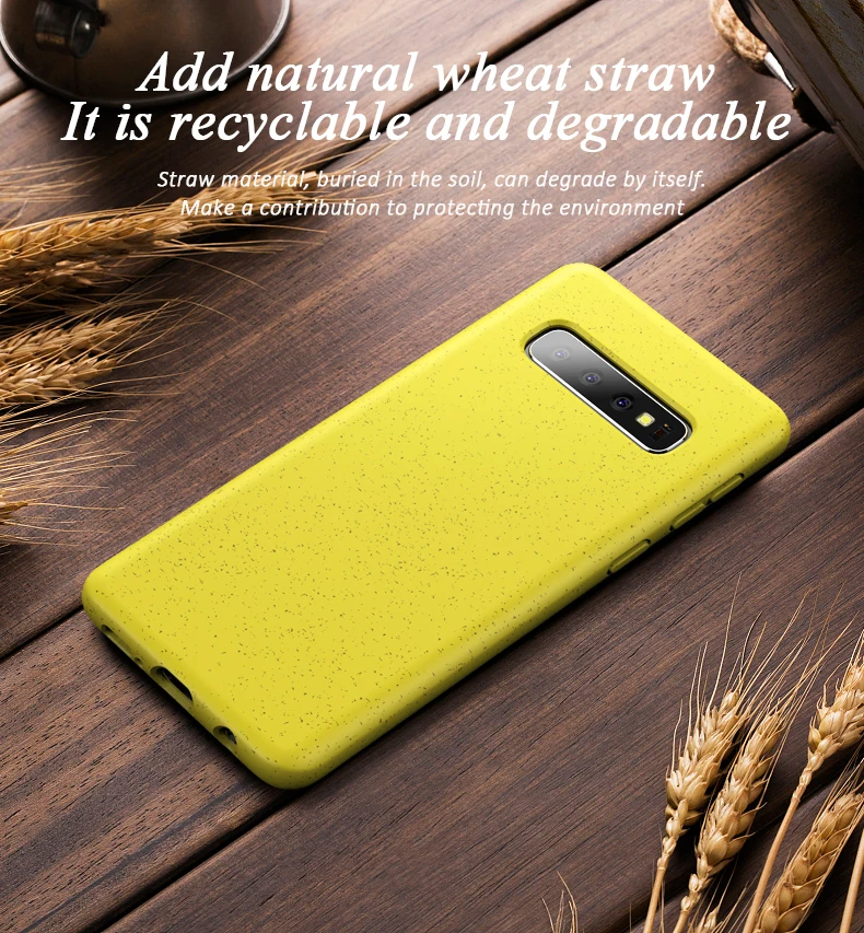 Samsung S10 Plus Case (2)