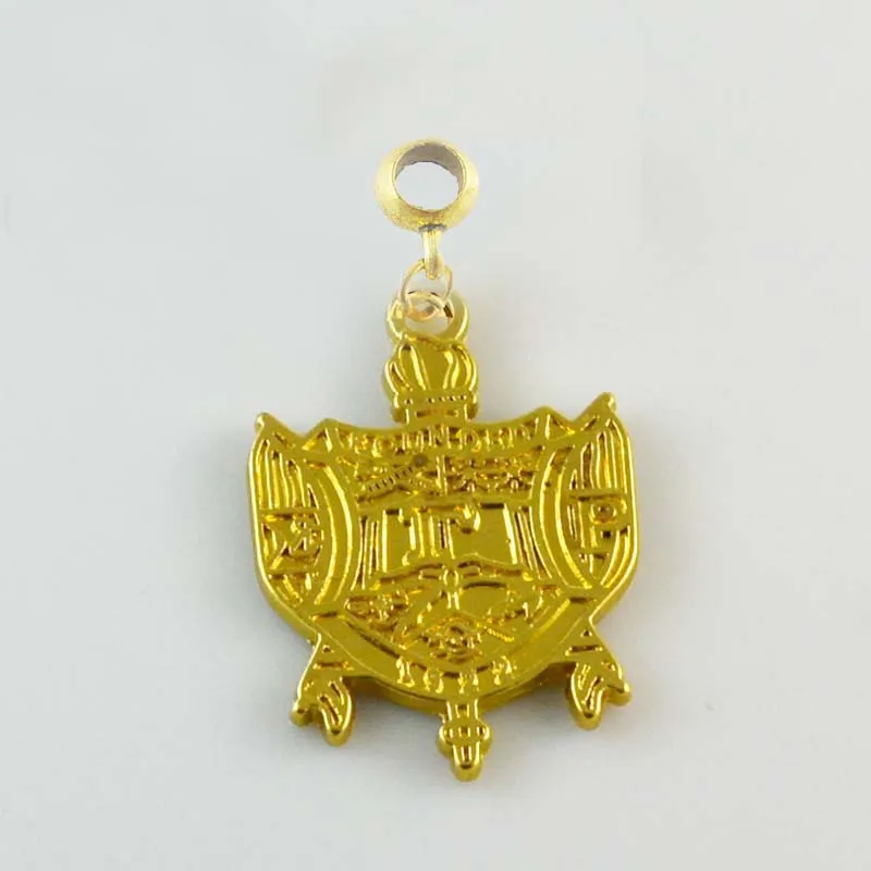 Женский клуб греческий Sigma Gamma Rho cure charms 10 шт 1 лот - Окраска металла: shinny with ring