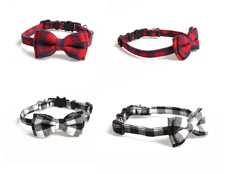 10310953523_307791824