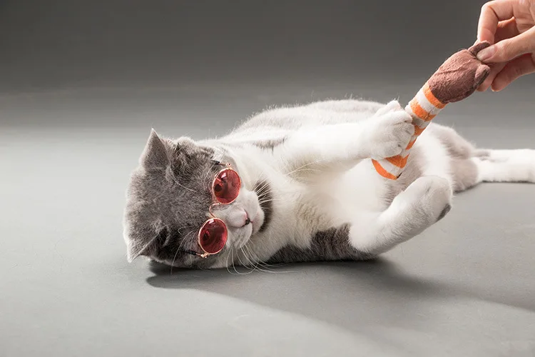 Cool Small Dog Cats Sunglasses Metal Frame Multi Colors Cat Eyewear Accessories Hot Sale (11)