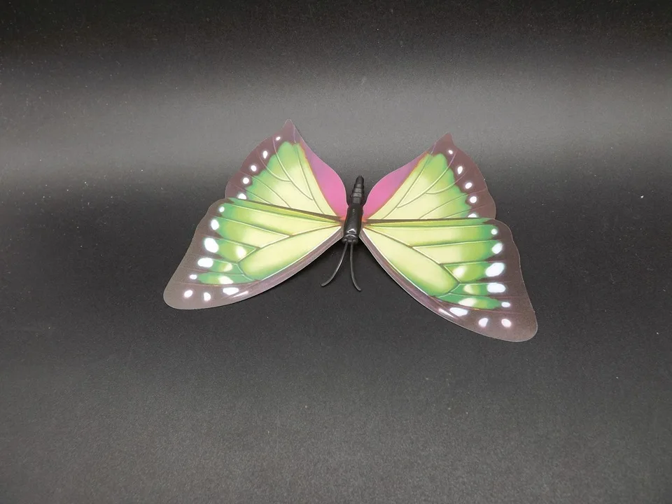I238-Butterfly (7)
