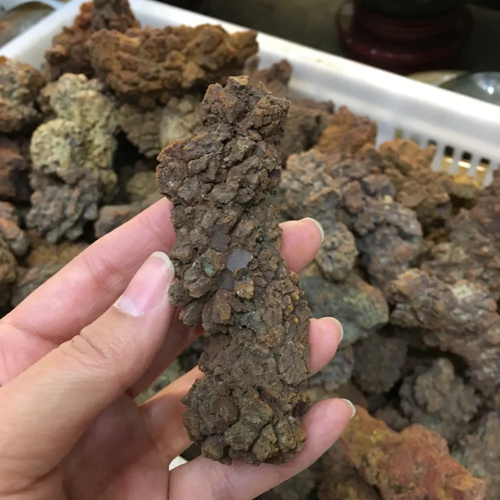 COPROLITE окаменелый динозавр какашки образец Fossil Мадагаскар 70-90 г