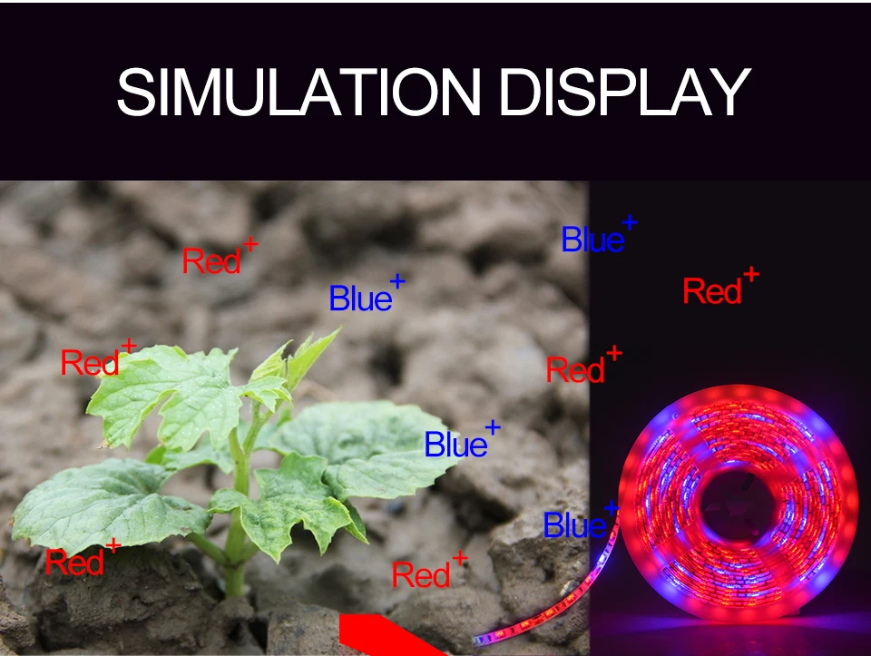 Phyto светодиодный светильник 5 м DC12V 5050SMD красный синий водонепроницаемый полный спектр 300 светодиодный s ленточный светодиодный светильник для растений