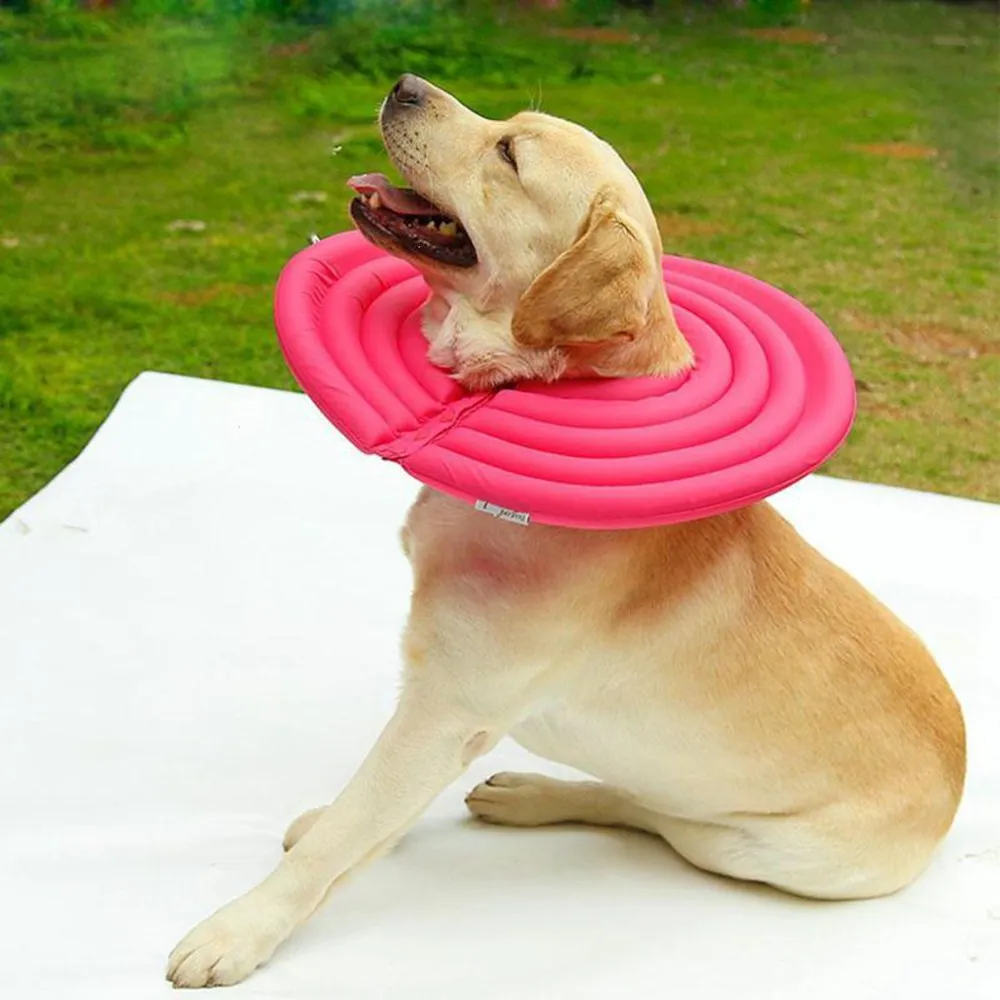 HTB1jLS7wxGYBuNjy0Fnq6x5lpXaa