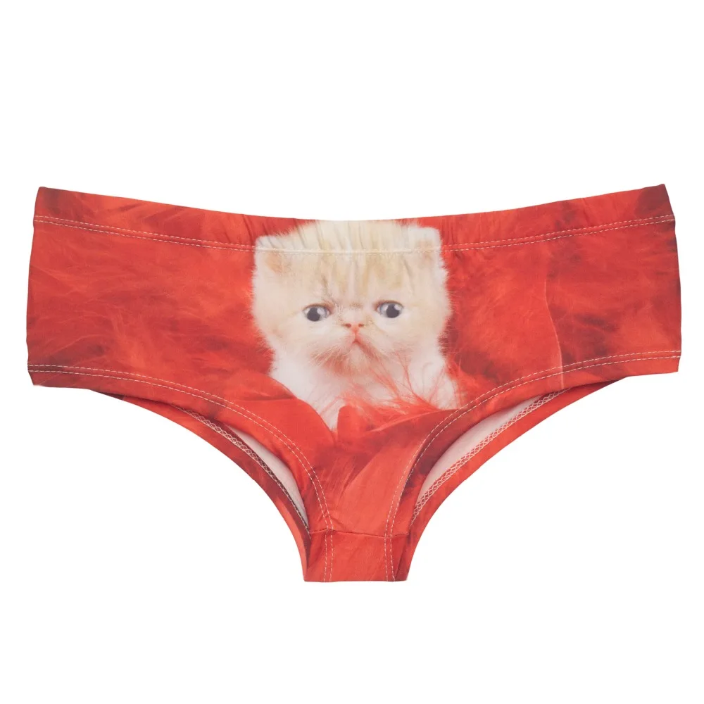 37060 RED FEATHERS CAT (3)