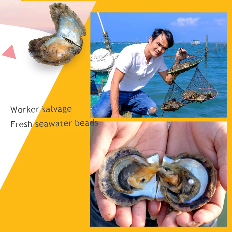 Hongye Pearl Oyster разноцветные бусины в виде риса пожелания жемчуг Oyster DIY подарки на день рождения случайный цвет Мидия модные женские аксессуары