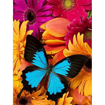 Azqsd алмаз Вышивка цветы и бабочки картина из страз Полный площадь Алмазная мозаика рукоделие незавершенной Craft DIY - Цвет: BB5083