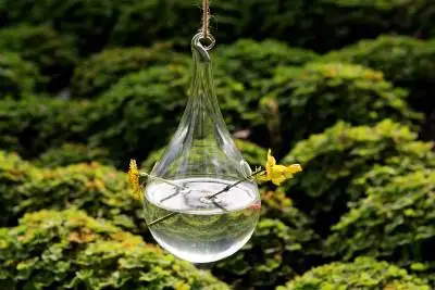 terrarium hanging glass flower planter teardrop blown vase decoration holiday decor gifts vases