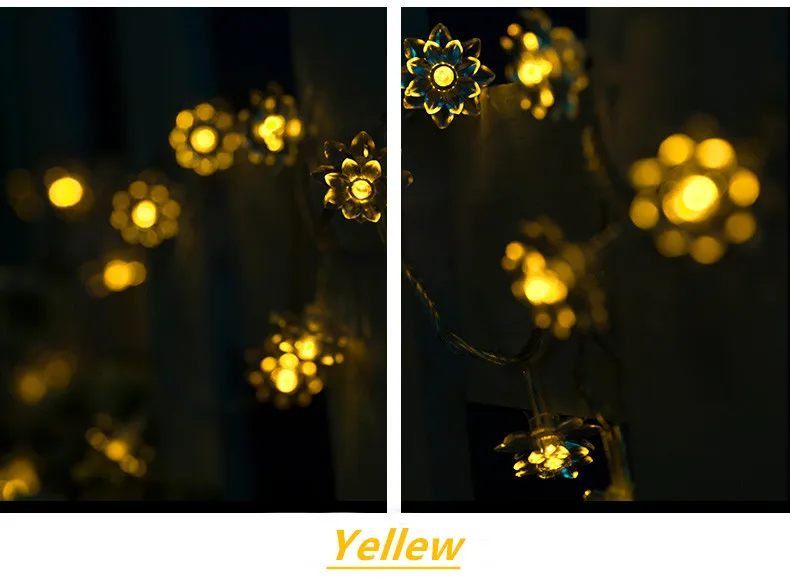 TB2vW6oXhoa61Bjy0FpXXaJxpXa_!!2139325941