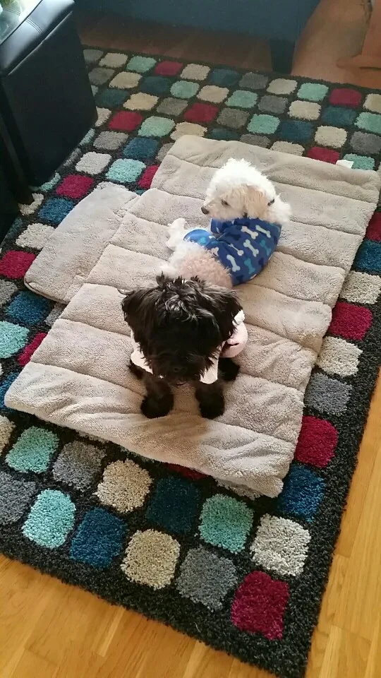 UT8q5rhX.XXXXagOFbXf