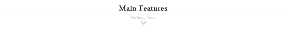 Main Features
