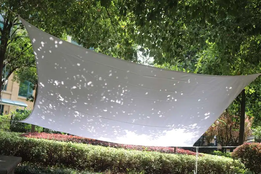 Picture 1198464 - 副本