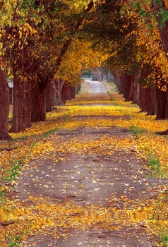 

150X220cm Deep autumn yellow leaves trees vinyl photography backdrop computer Printing cloth background for photo studio