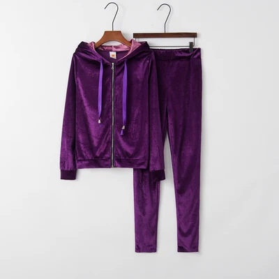 Весенне-осенние женские комплекты, спортивная одежда, Теплый Бархатный спортивный костюм с капюшоном, комплект из 2 предметов, куртка на молнии с длинными рукавами, штаны, костюмы, повседневная одежда - Цвет: Фиолетовый