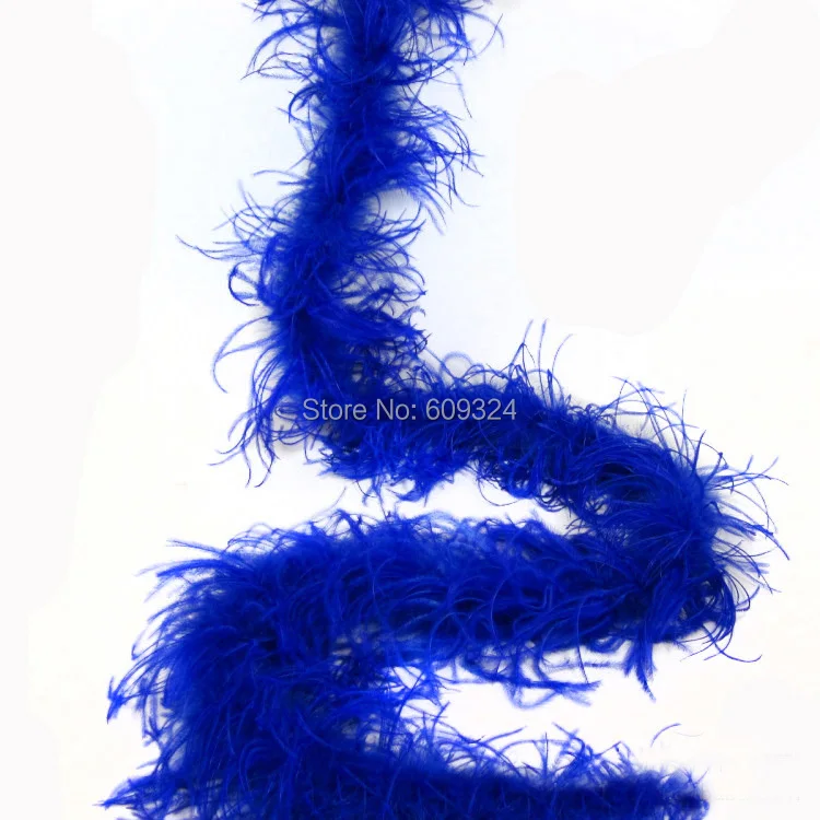 2ceng-royal blue.jpg