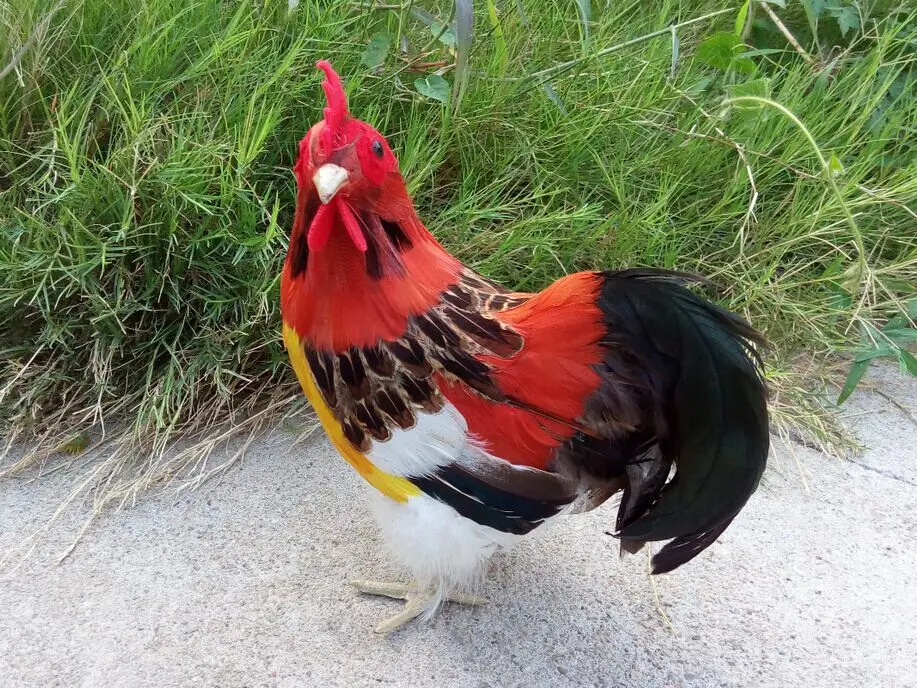 

Simulation model of simulation rooster feathers animal home furnishing articles handicrafts 22 * 11 * 25 cm