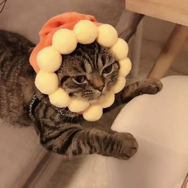 Thú Cưng Mũ Trùm Đầu Chó Con Mèo Con Hoạt Hình Nón Mèo Hoa Hướng 