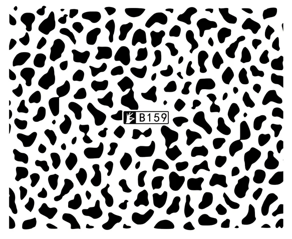 B159 