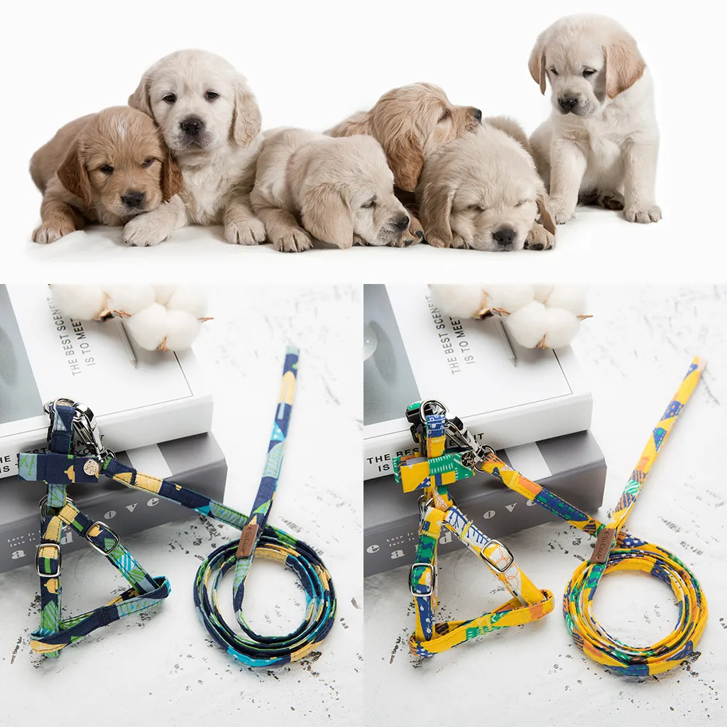 

Pet Cat Dog Multicolour Vest Set Cat Dog Chest Straps Belt Set Adjustable Outdoor Security Training Dog Harness Collars Pet Dog