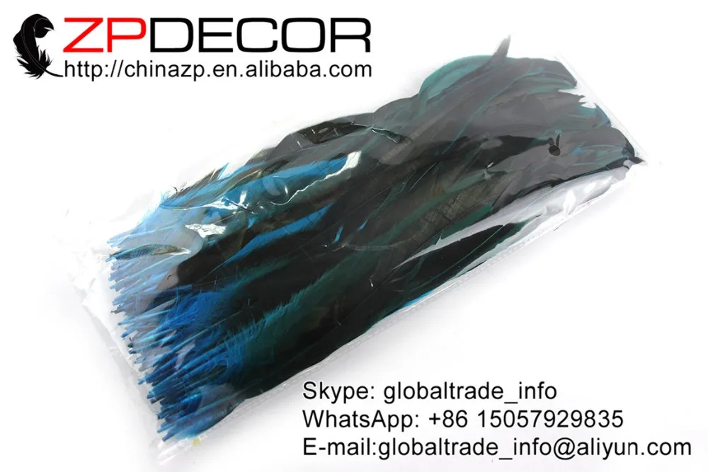 blue chicken feather (2)