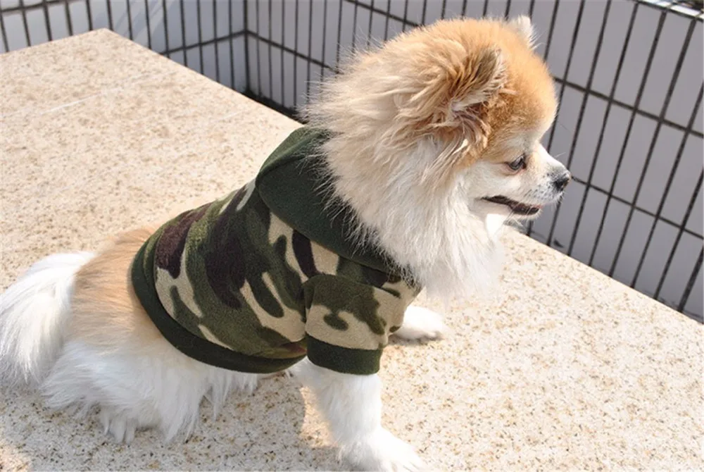 Толстовка с капюшоном для собак; зимняя одежда; комбинезон с камуфляжным леопардовым принтом; одежда для щенков; костюм Миньона