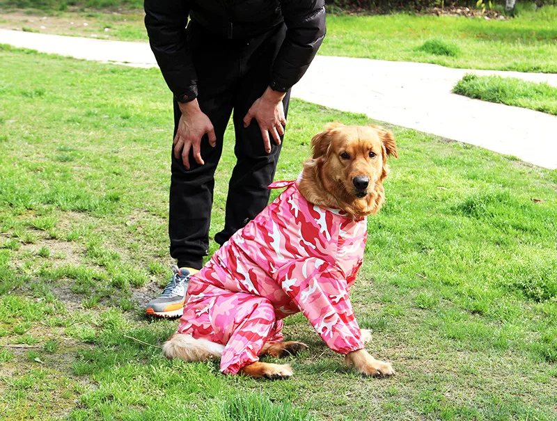 pet 08