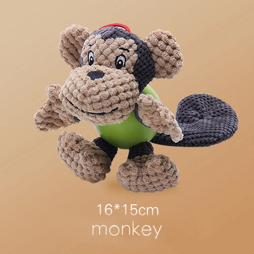 monkey