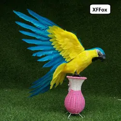 Большой реальной жизни крылья синий и желтый попугай модель пены и перо имитация попугая Птица Подарок около 50x65 см xf0279