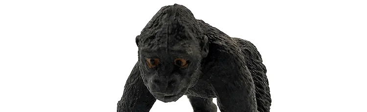 -10--DW-M-MY89-114-120_09