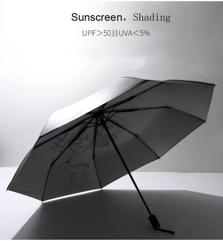 (3)