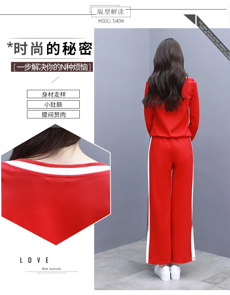 Terno de Lazer Conjunto de Roupas Novo Outono Femininas Coreano Moda Solta Manga Comprida Hoodies Moletom Calças Largas Dois Pçs 4 Terno de lazer novo outono conjunto de