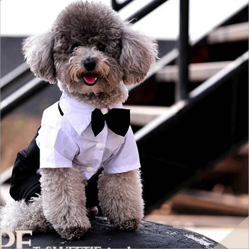 Cool Formal Dog Tuxedo Pet Puppy Outfit With Bowtie Wedding Party Suit