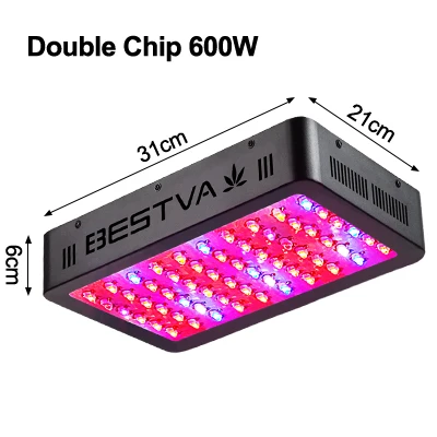 600w