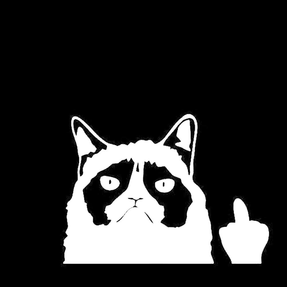 

Fashion Window Flipping Off Laptop Decor Car Sticker Grumpy Cat Graphics Fashion Personality Creativity