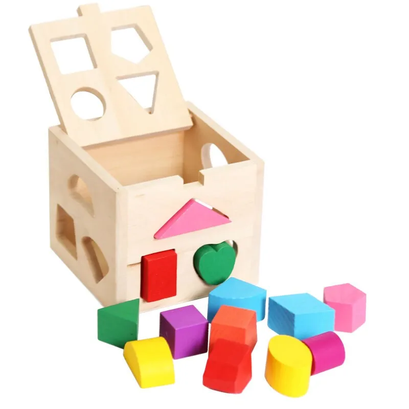 13 Holes Intelligence Box for Shape Sorter Cognitive and Matching