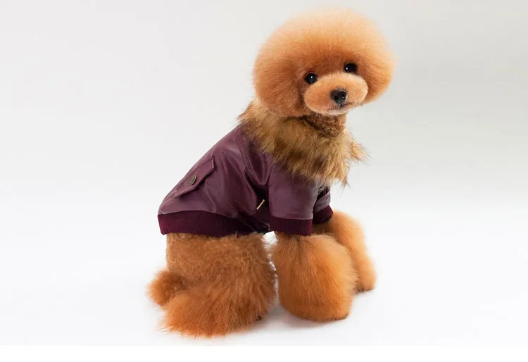 P10_Fashion_Pet_Dog_leather_Jacket_Clothes_Winter_Warm_fur_collar_Teddy_Small_dog_Coat_Chihuahua_Clothing_ (9)