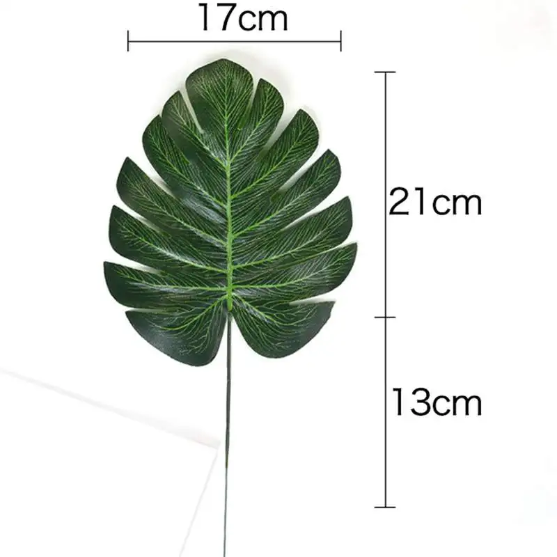 34cm
