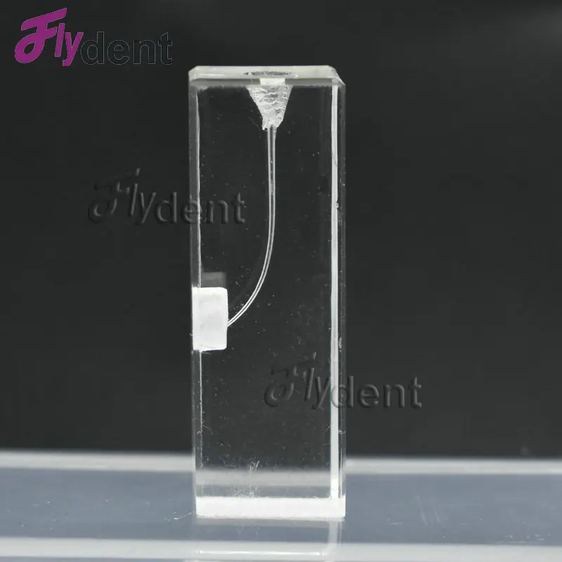 10pcs Dental Endo Training Block Endodontics Student Teaching Model
