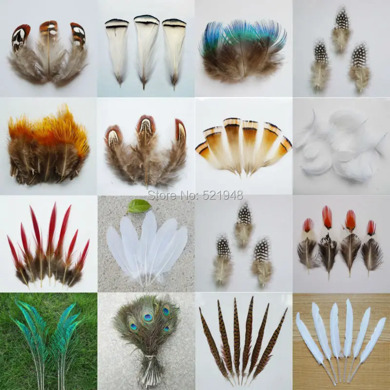 

20pcs kinds Beautiful Rooster Pheasant Tail Chicken Feathers Ostrich Plume Peacock Eye Sword feather DIY Craft Decoration