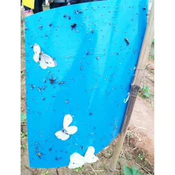 

25x20cm Blue Sticky Board fly trap pest control insect killer Drosophila leaf miner thrips whiteflies locusts moths